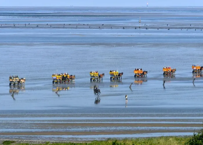 Haus Seewind Hs07 公寓